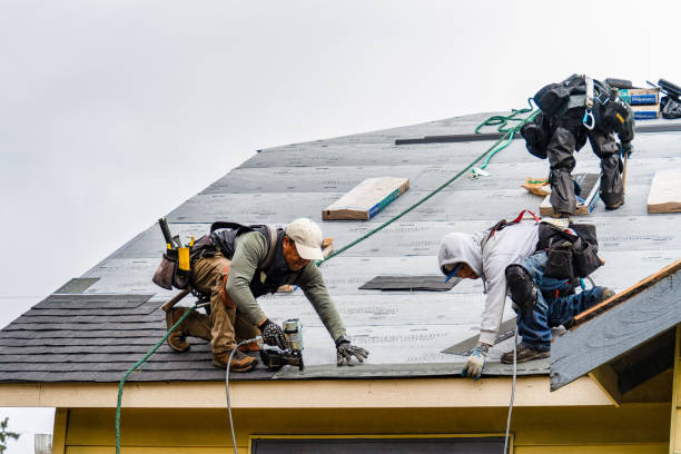 Professional Roof Replacement technician working in Parker City, IN